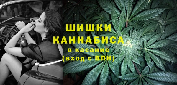 МДПВ Очёр