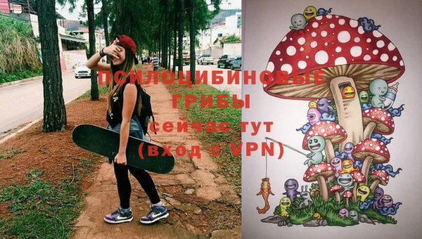 ECSTASY Сафоново