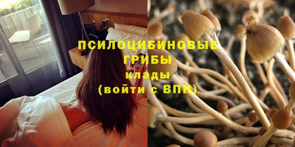 скорость Сатка
