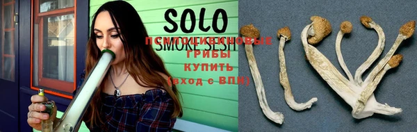 скорость Саяногорск