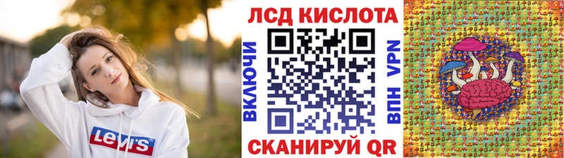 Наркотические марки 1500мкг  где купить наркоту  Тогучин 